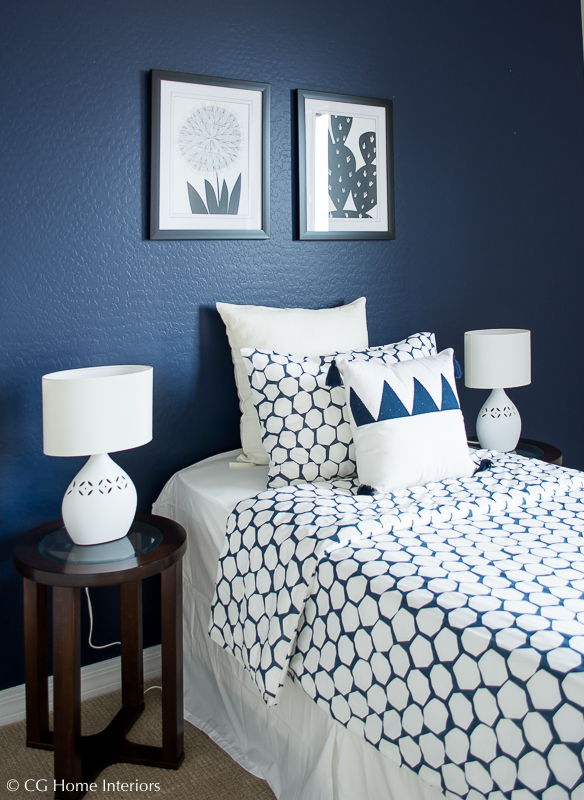 SW Naval Accent Wall in Bedroom (SW6244)